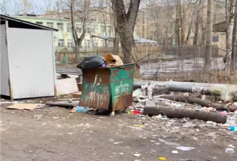 Жители Сегежи возмутились мусору во дворах