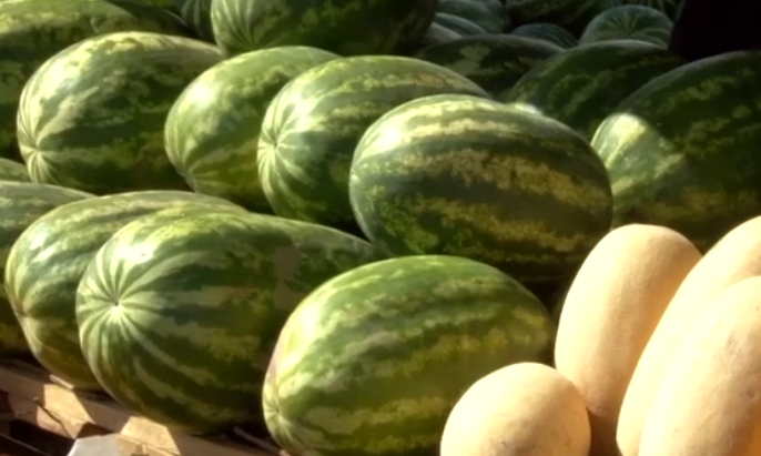 В Петрозаводске объявили аукцион на размещение плодовоовощного ларька