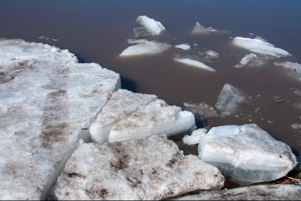 На оторванной льдине дрейфовали 10 человек рядом с Карелией
