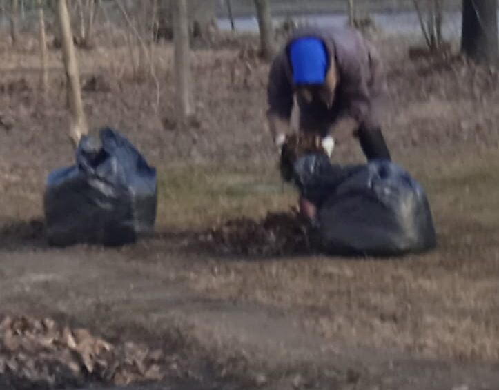 В Кондопоге 89-летняя женщина убирала мусор с газонов