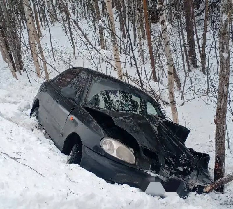 Автомобиль вылетел в кювет и протаранил дерево рядом с деревней Кимасозеро