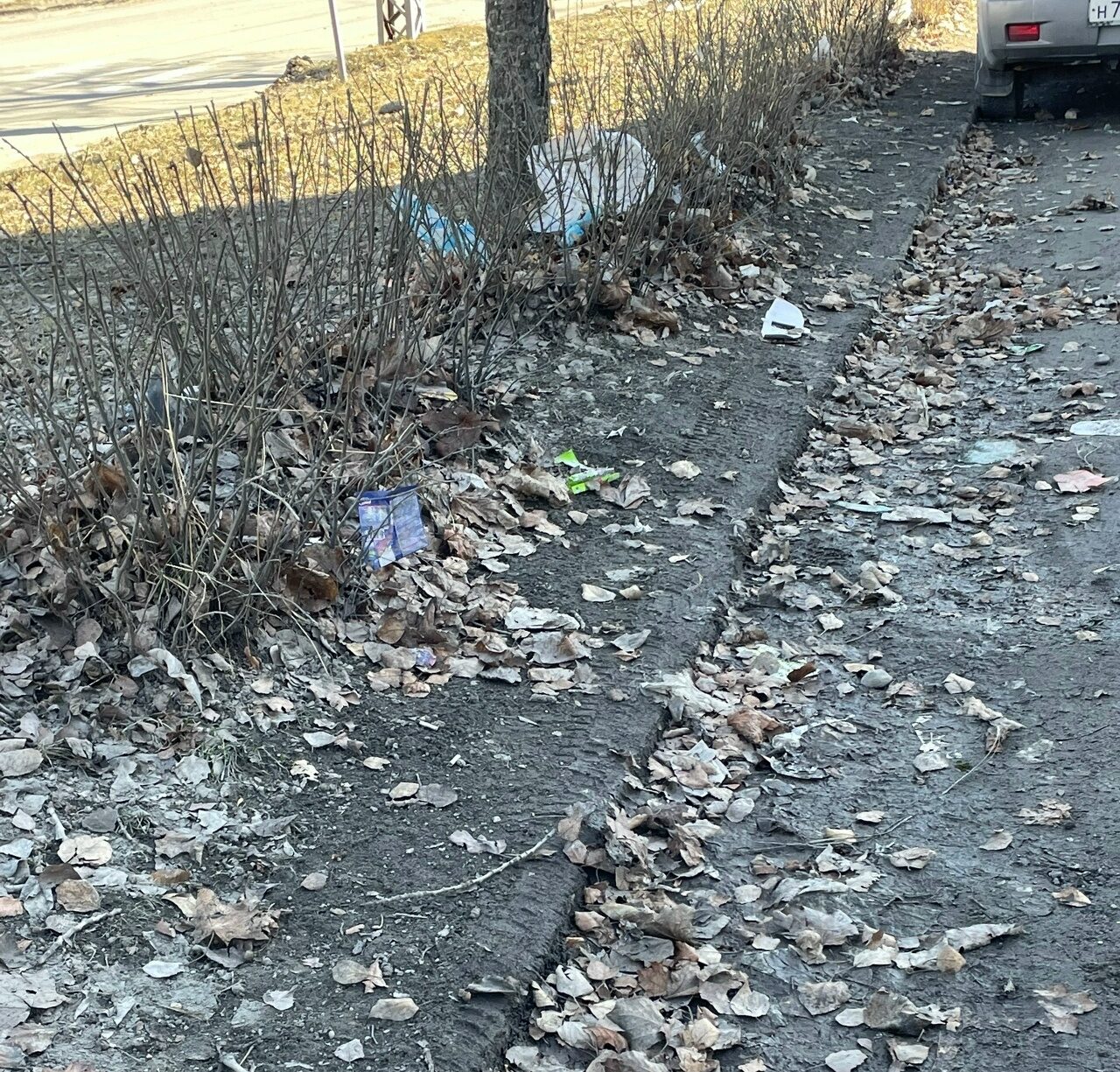 Горожане пожаловались на грязь в одном из районов Петрозаводска