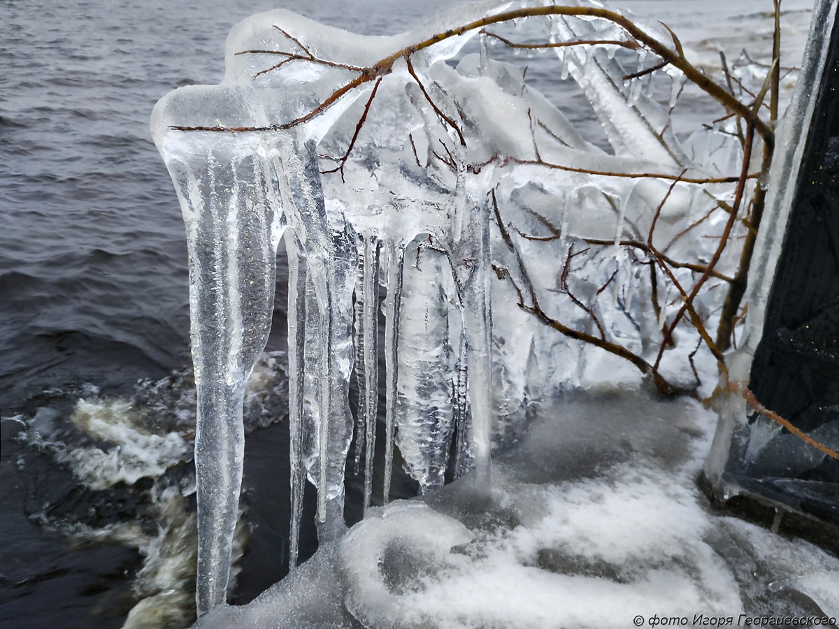 Весна ранняя, и это сказалось на природе. В Петрозаводске запрещен выход на лед