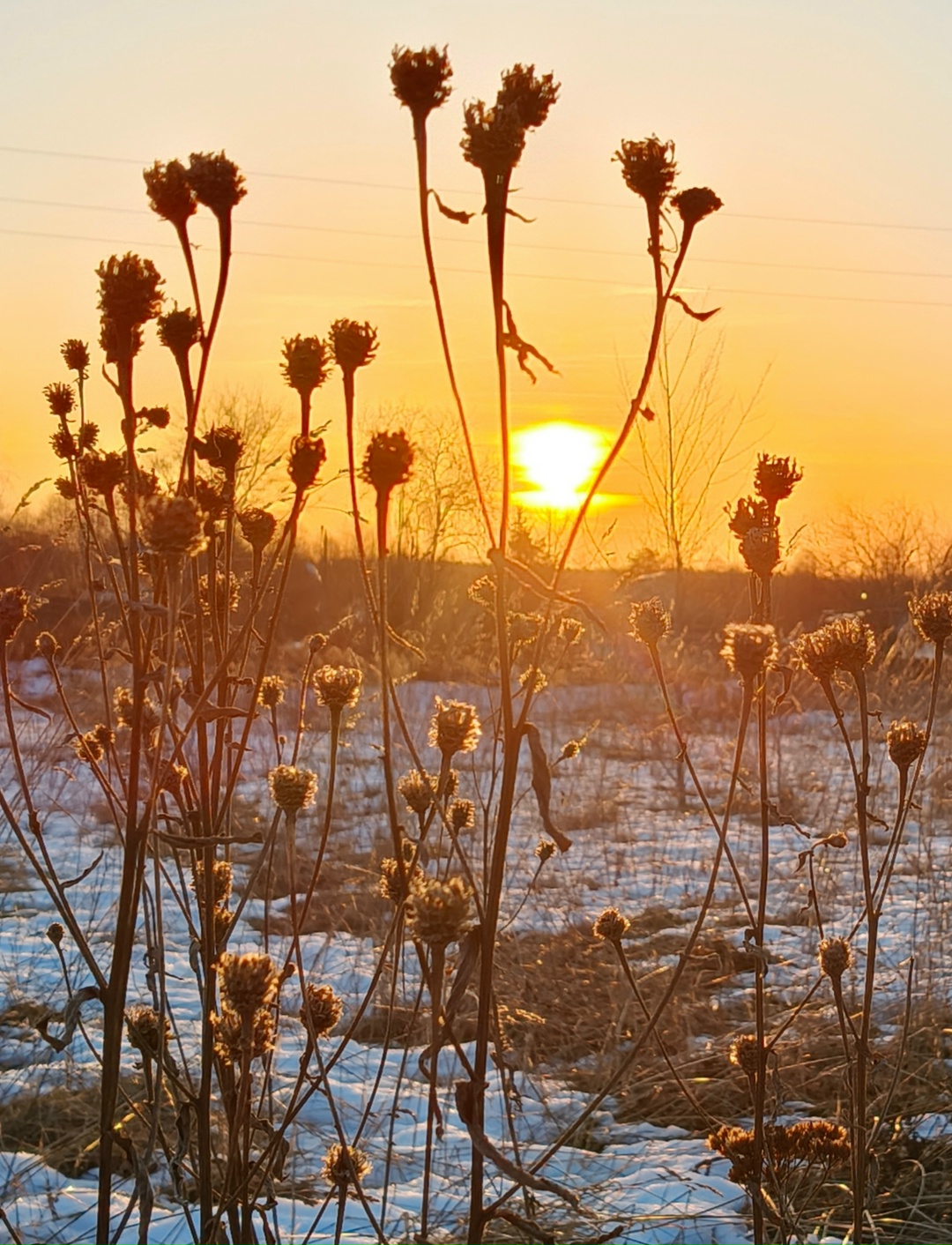 День 25 марта удивит резкой сменой погоды в Карелии
