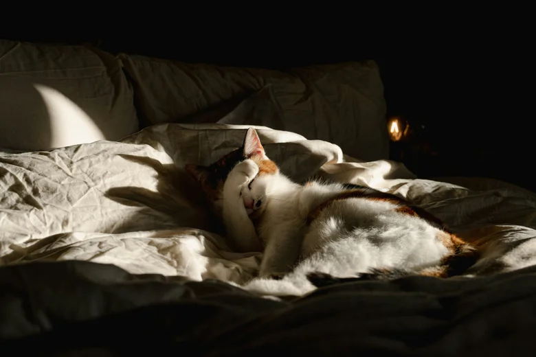 Врач объяснила, что поможет улучшить сон весной