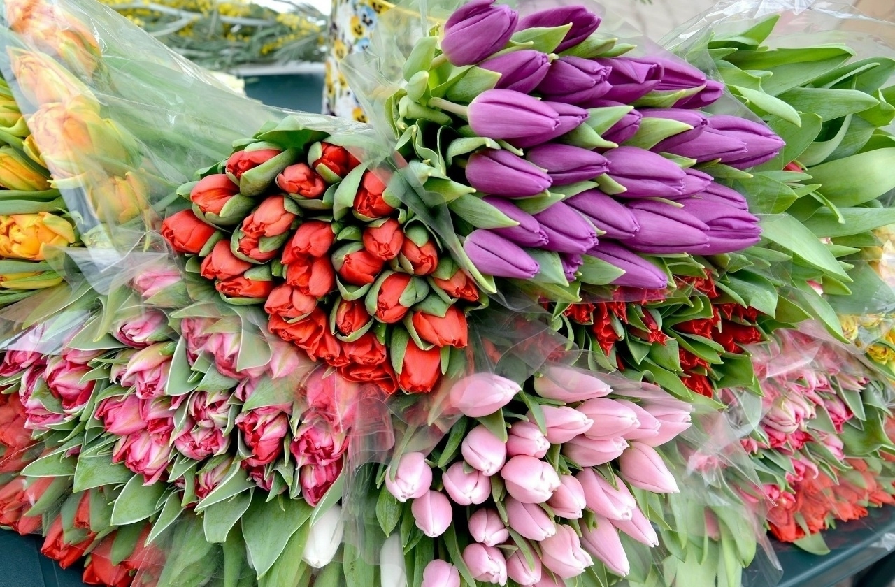 Жителей Петрозаводска пригласили на концерты, посвященные празднованию 8 марта