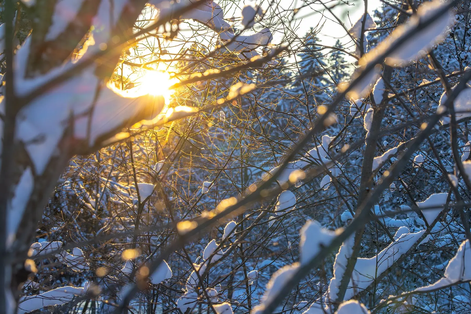 Зима пока не сдает свои права: синоптики Карелии рассказали о погоде на вторник