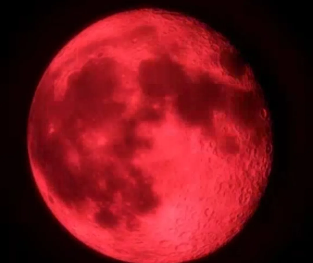 Астроном сообщил, где в России сегодня в ночь можно будет увидеть «кровавую Луну»