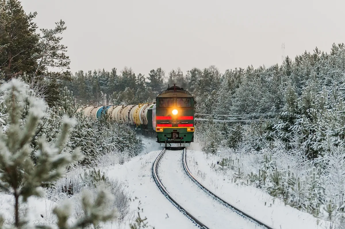 В Карелии грузовой поезд столкнулся со снегоходом
