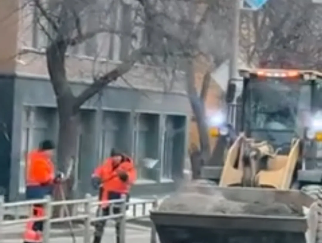 Мэр Петрозаводска поручила активно заняться уборкой смета