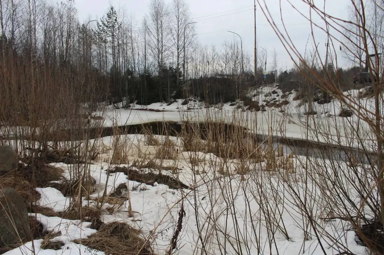 Вблизи ФОКа «Динамо» в Петрозаводске угрозы подтопления пока нет