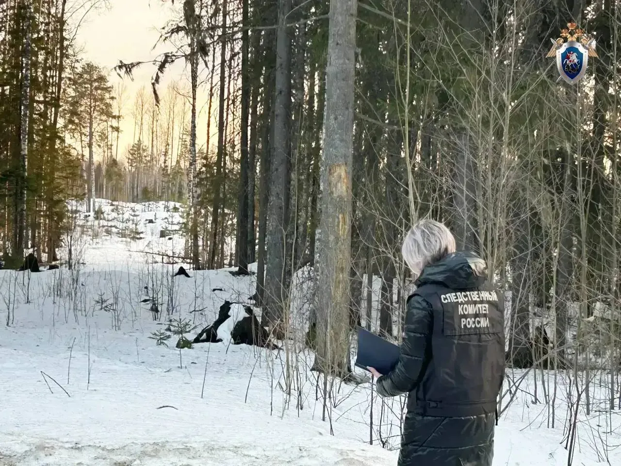 Следком Карелии устанавливает обстоятельства гибели жителя Карелии на озере