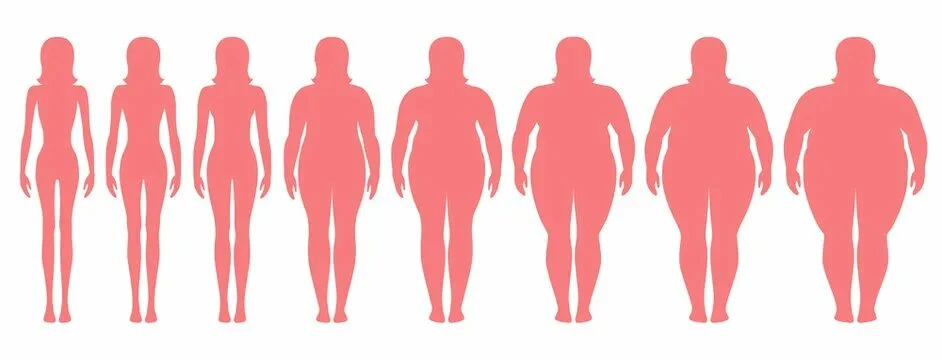 Четыре штамма кишечных бактерий: найден способ «запрограммировать» жировую ткань на сжигание энергии