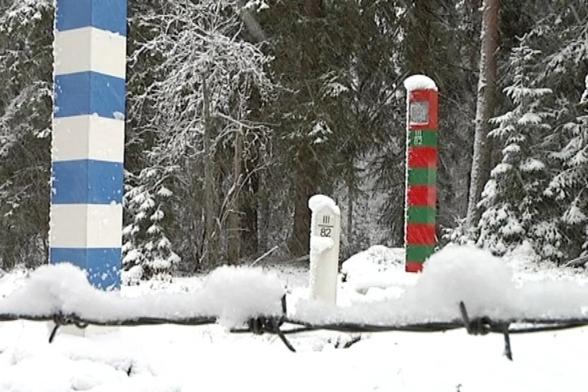 Двое иностранцев задержаны при попытке пересечения госграницы в Сортавальском округе