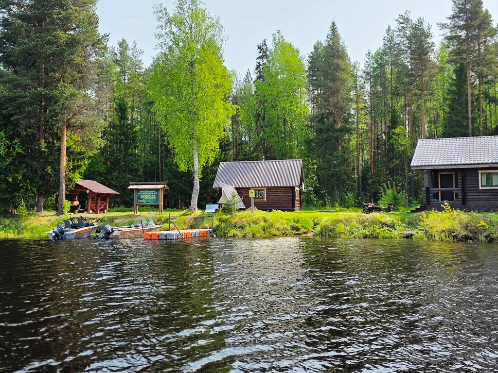 Жителей Карелии и туристов пригласили в дикую тайгу на отдых под уханье совы и урчание рыси