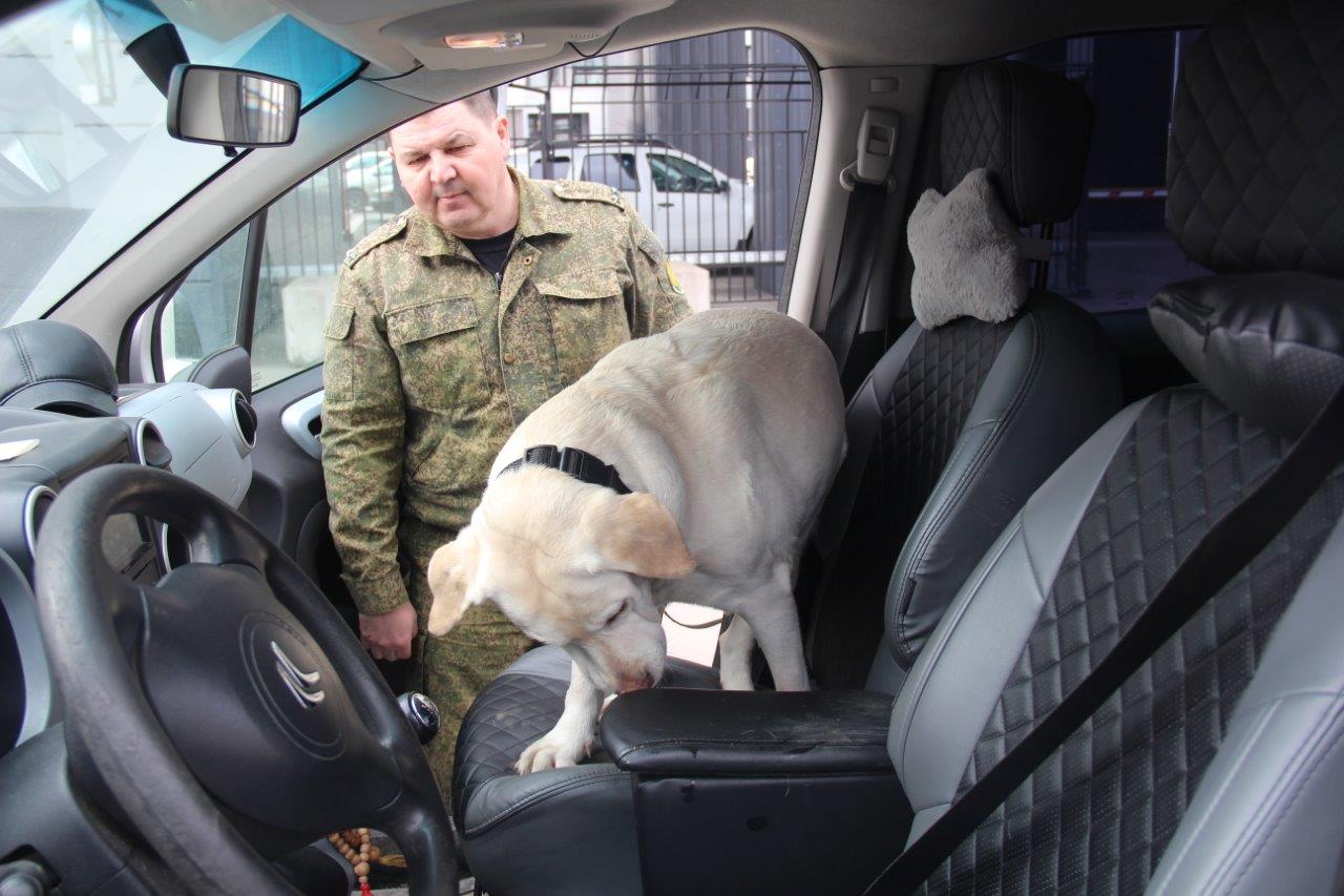 Нашла 300 тайников с наркотиками: лучшей служебной собаке Карельской таможни Заре исполнилось 10 лет