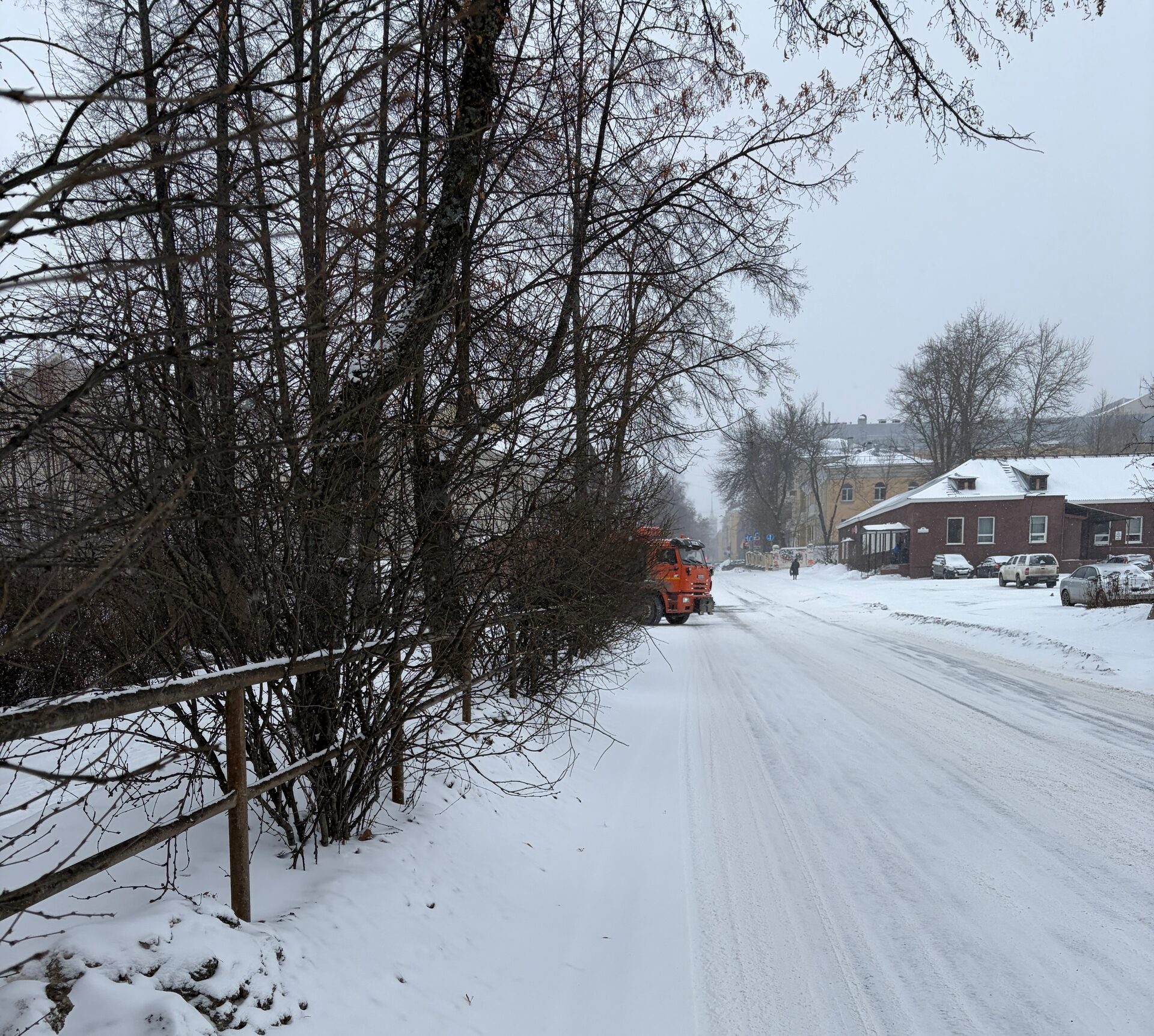 Петрозаводский водитель пожаловался на кусты у гимназии №17