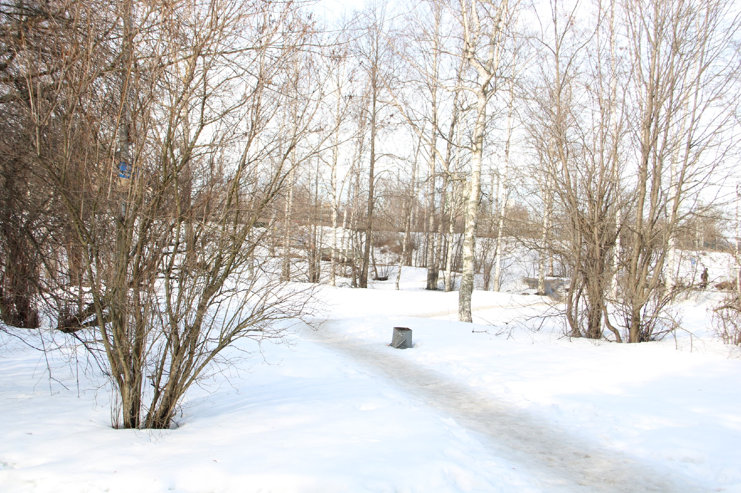 В Петрозаводске предложили проект благоустройства парка у Слюдяной фабрики