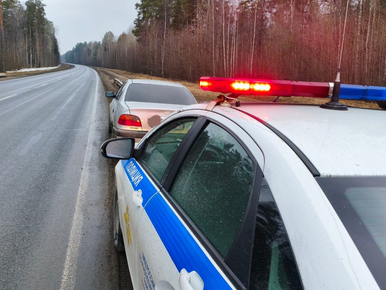 Видеокамера нашла опасного нарушителя в потоке машин на трассе в Карелии