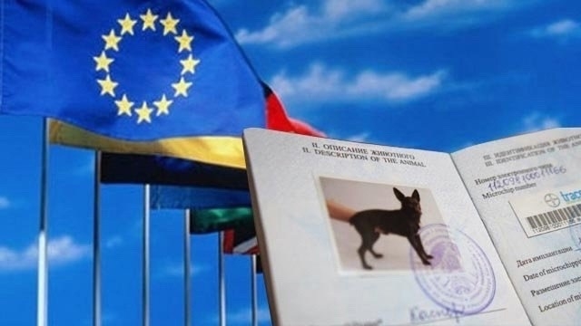 Узнали, как жители Карелии могут перевозить своих питомцев в страны Таможенного союза