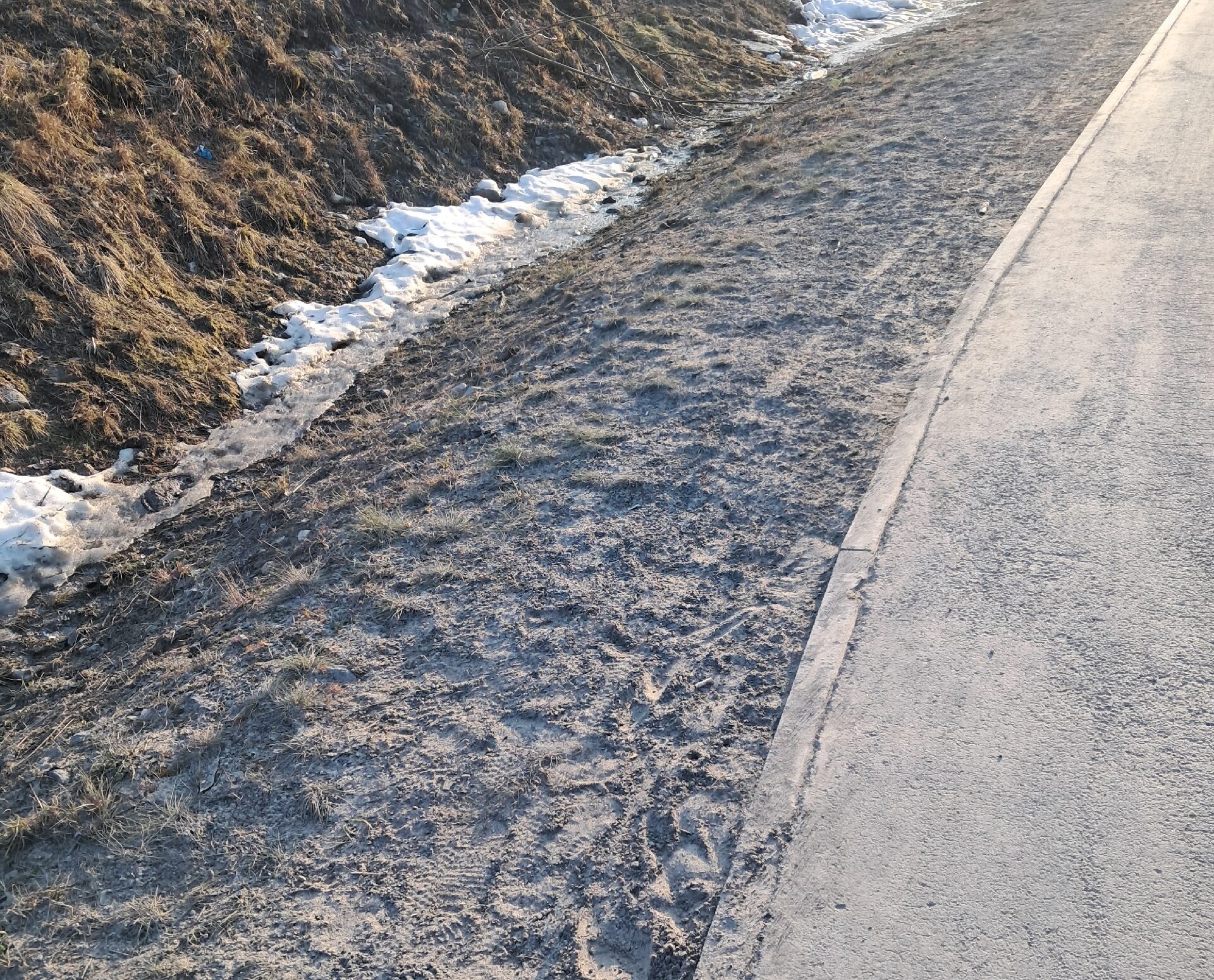 «Травят, как тараканов»: жители Древлянки возмущены пылью и едкой грязью после схода снега