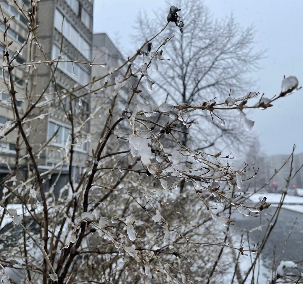 Весне - дорогу: до +12°С будет в воскресенье в Карелии, но кое-где пройдет дождь со снегом