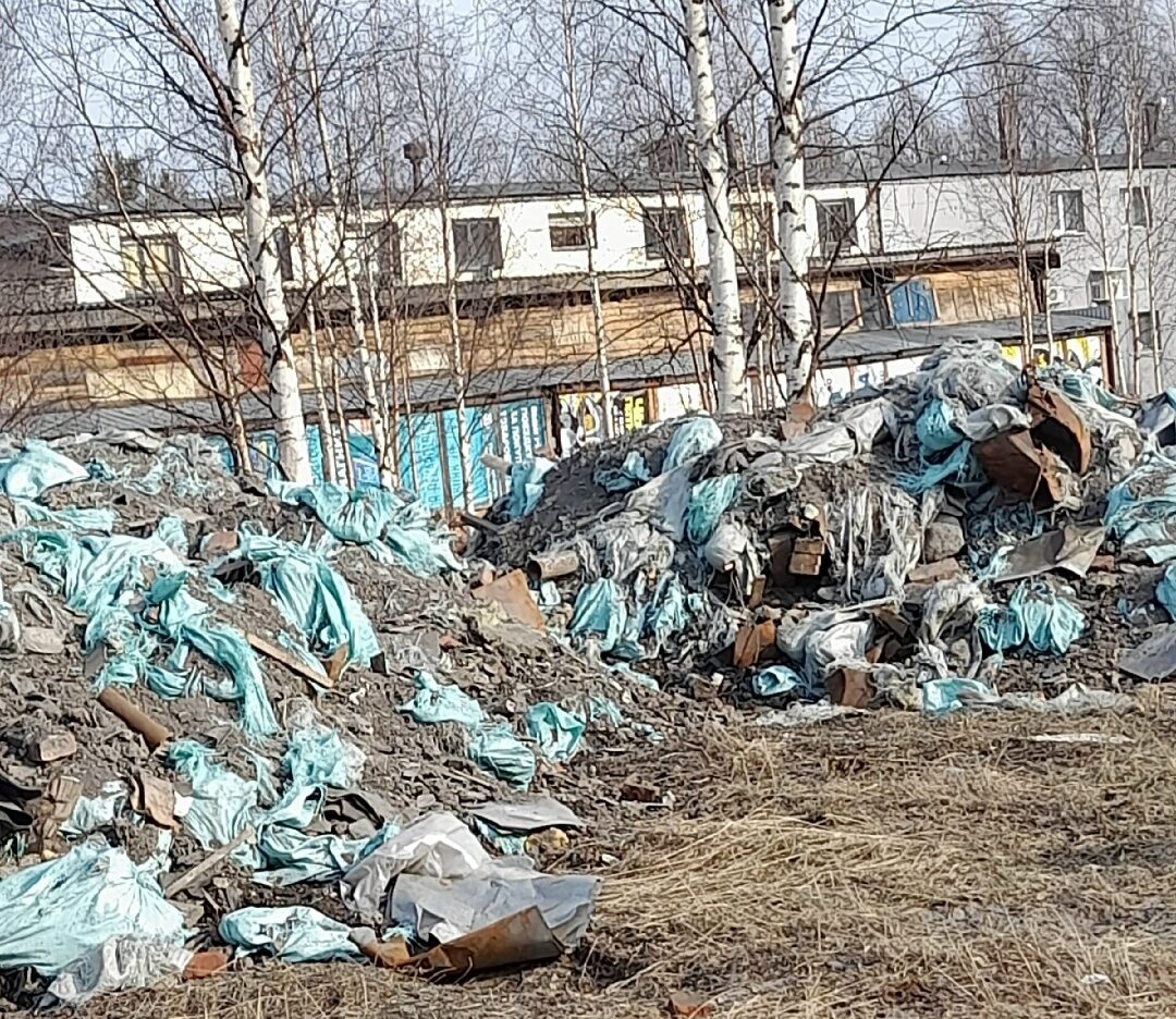 В Кемском районе обнаружили незаконную свалку мусора