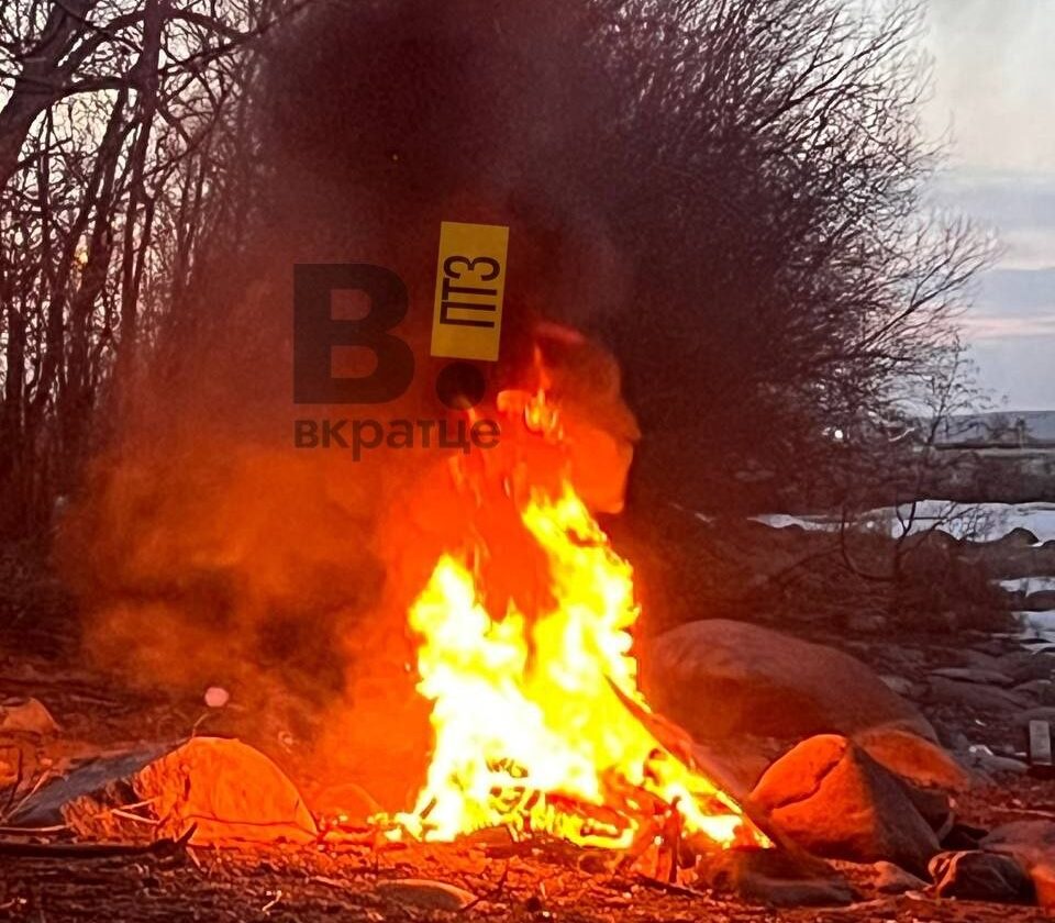 Подростки разожгли костры на берегу Онего в Петрозаводске