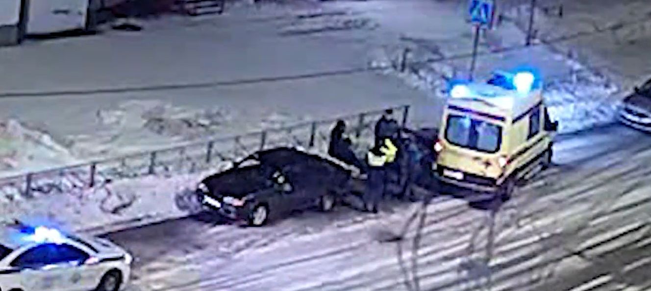 Самовыгул у дороги закончился ДТП в Кондопоге