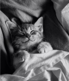 Есть перед сном нужно, чтобы мысли о еде не мешали уснуть: медики Карелии дали советы по подготовке ко сну