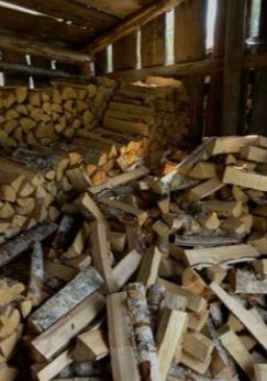 Откуда дровишки: вылазка на участок соседей в Карелии обернулась для «добытчика» уголовным делом