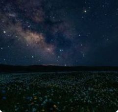 Угрозу атаки беспилотников рядом с Карелией сняли: сбит один БПЛА