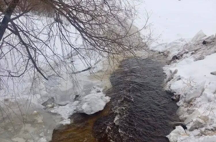 Половодье началось в России. Река в Карелии тоже попала под аномальное потепление