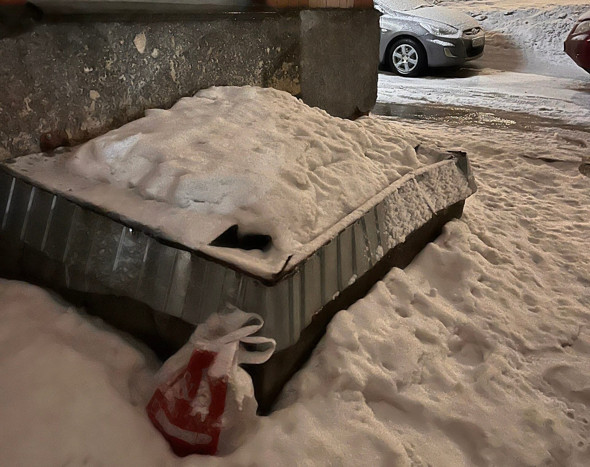 Неравнодушные горожане призвали не прикармливать крыс в Петрозаводске