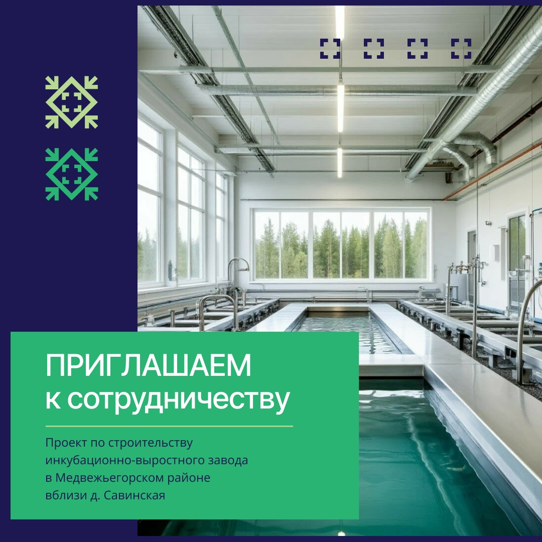 В Карелии ищут инвестора для завода по выращиванию малька форели