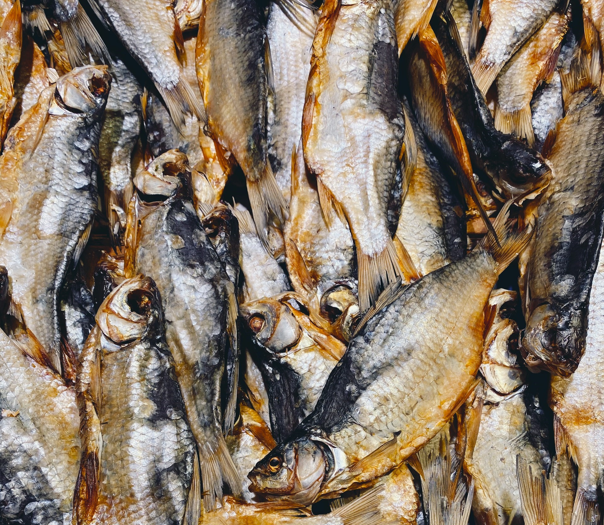 Вобла вне закона: на прилавках только нелегальный улов