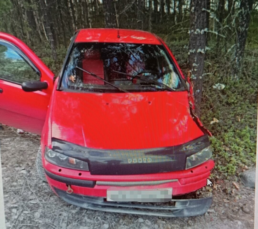 Пьяный водитель с ребёнком в салоне врезался в дерево на севере Карелии: исход - госпитализация