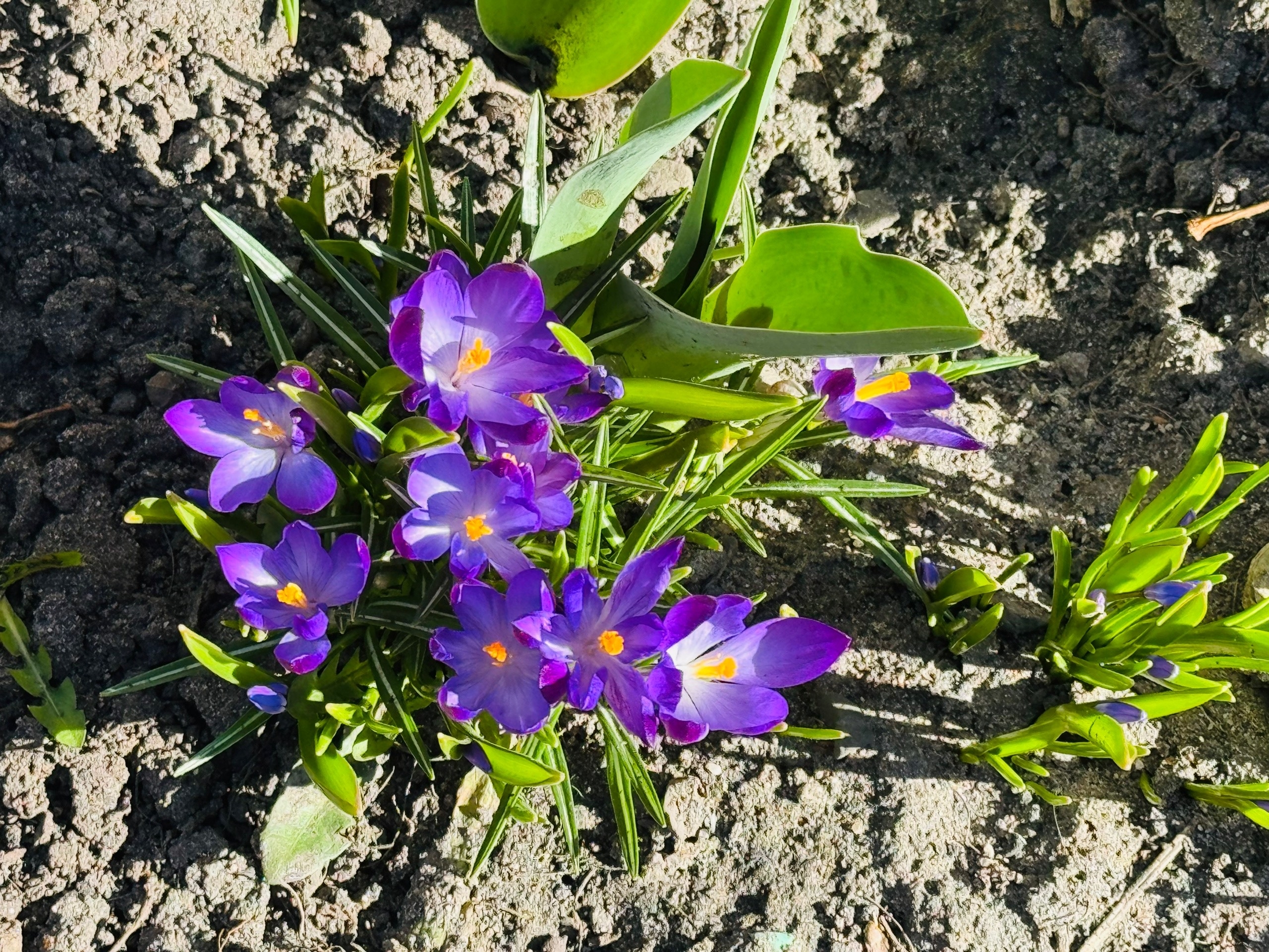 Март в Карелии побил температурный рекорд 2007 года