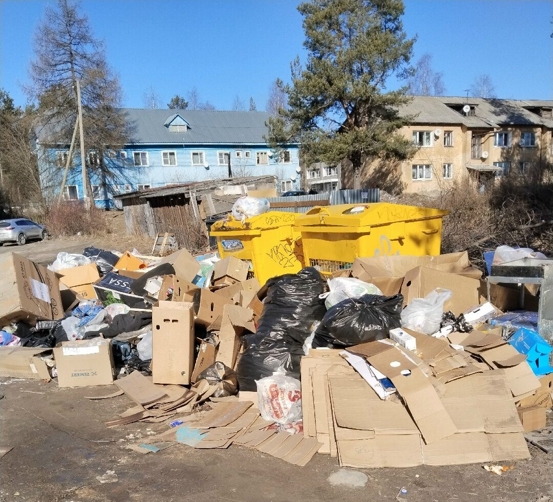 Жители Медвежьегорска возмутились мусорным свалкам рядом с популярным магазином