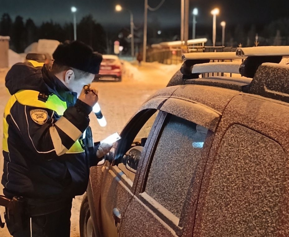 В Петрозаводске проверят, как везут детей в автомобилях