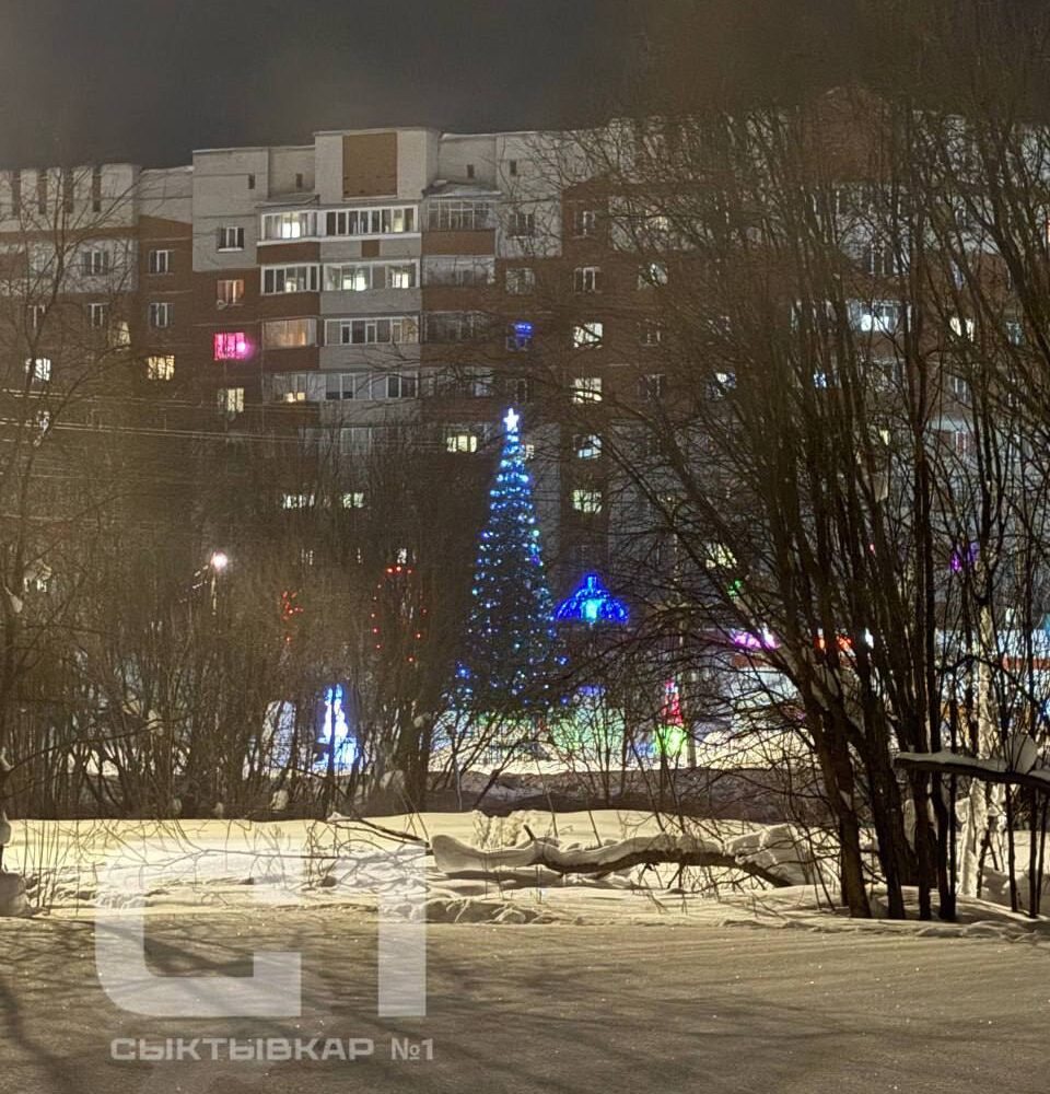 Стало известно, где в России ещё сверкает огнями новогодняя ёлка