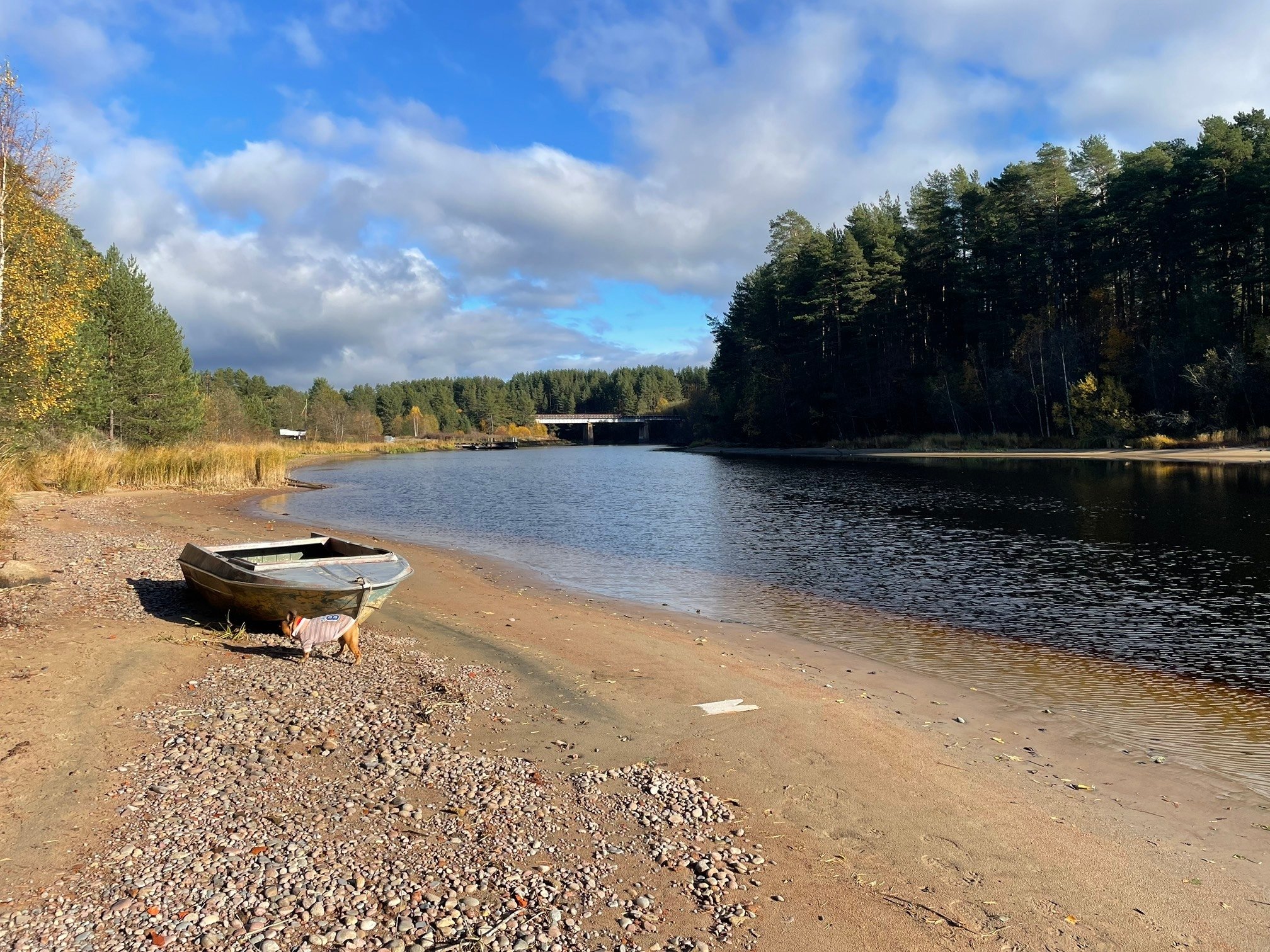 Жители села Видлица отстаивают свое право на пляж и реку