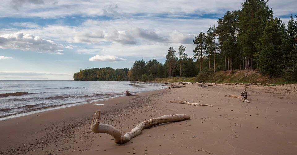 В Карелии на берегу Онежского  озера появится новый парк туризма и отдыха