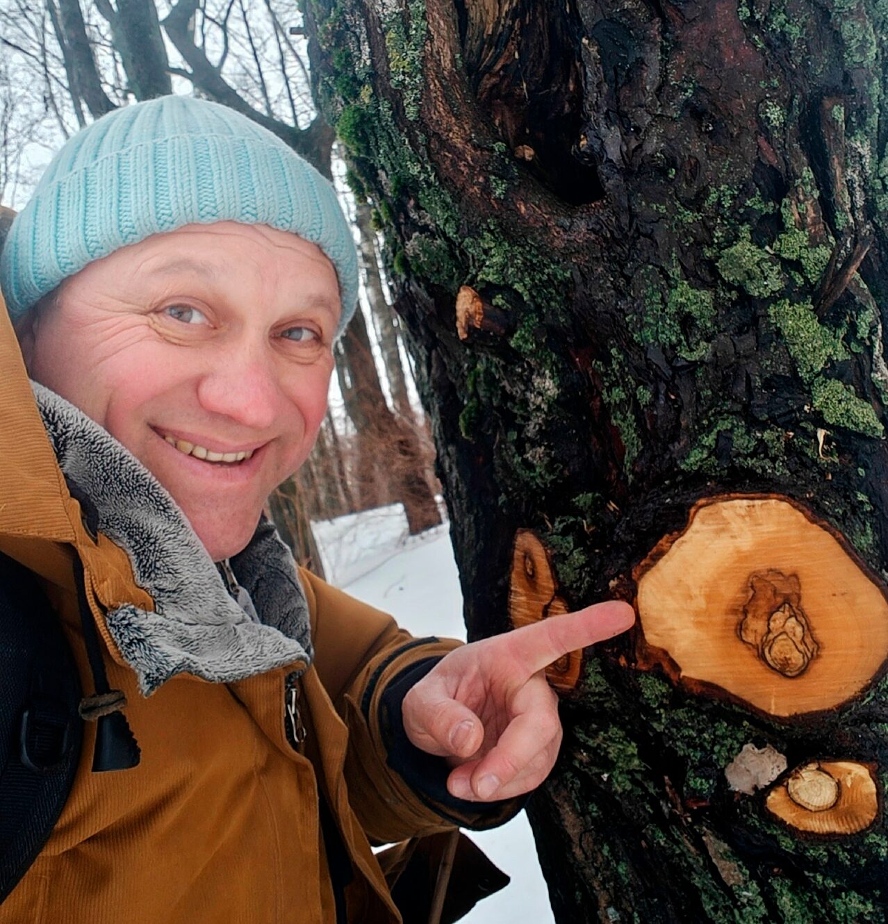 Естествовед из Санкт-Петербурга отыскал красоту в спиле садовника