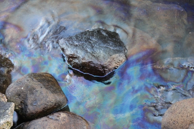 Экологическую тревогу объявили из-за разлива нефти в реке, впадающей в Чёрное море