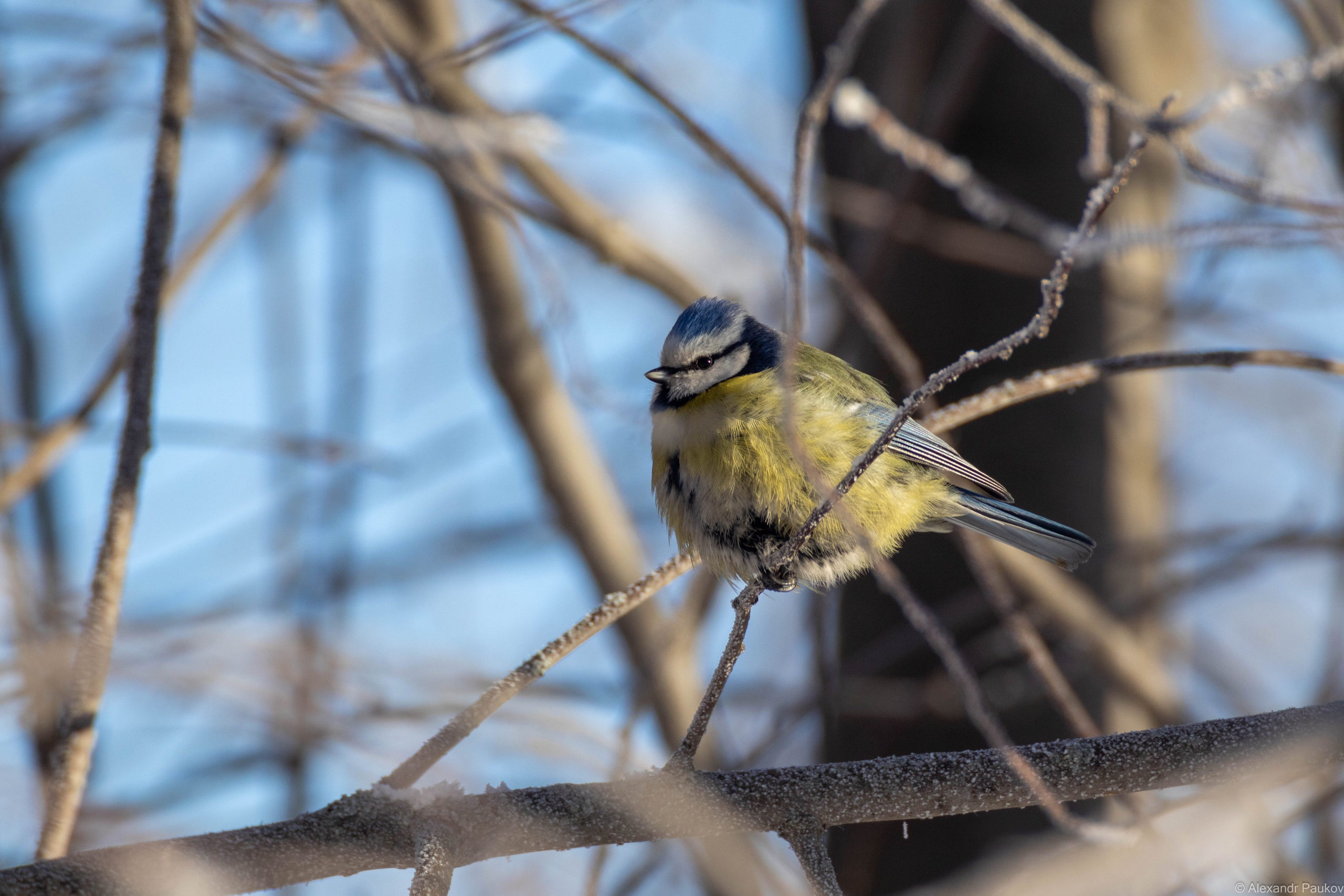 Гололедица и снег: синоптики рассказали о погоде в Карелии на понедельник