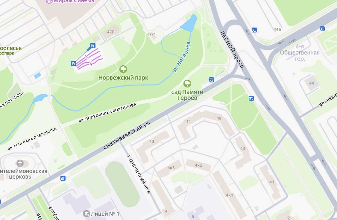 Сад памяти Героев благоустраивают в Петрозаводске