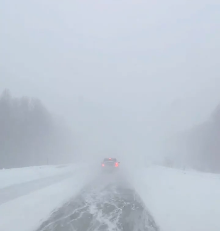 «Отделались легким испугом»: так назвали то, что было 8 марта в Карелии