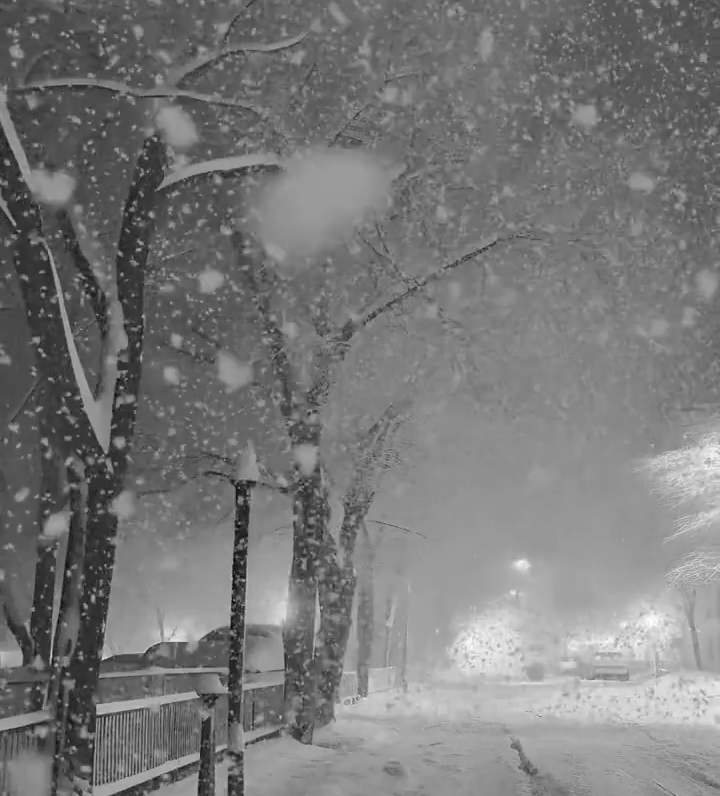 Уже сегодня Карелию завалит снегом, ожидается обледенение