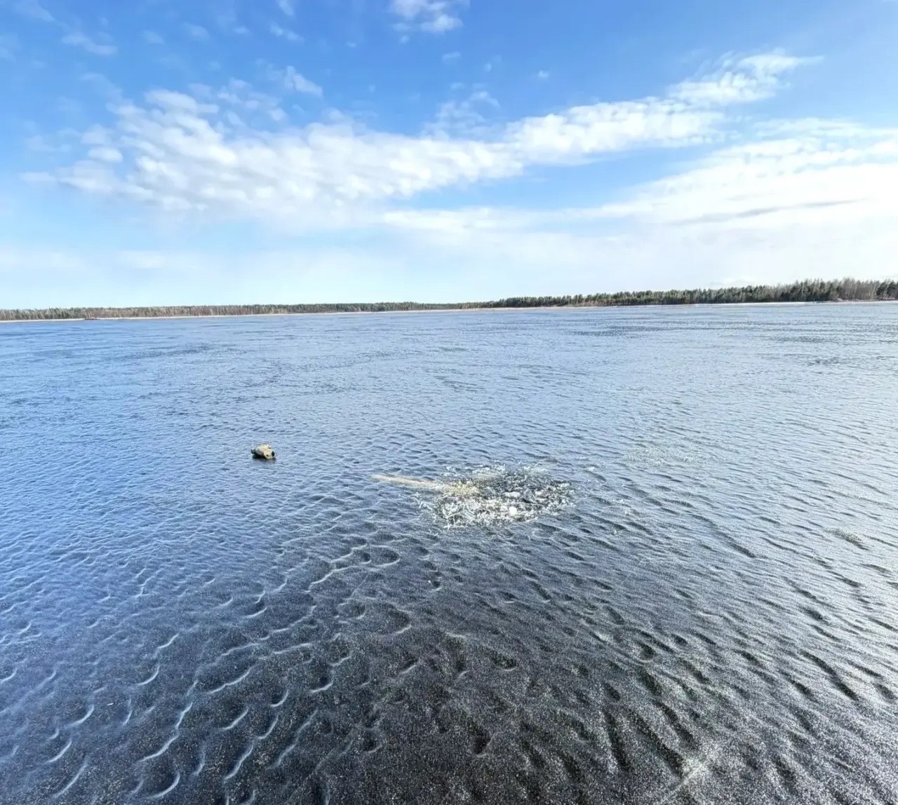 Водолазы ищут пропавшего в Прионежье 80-летнего рыбака